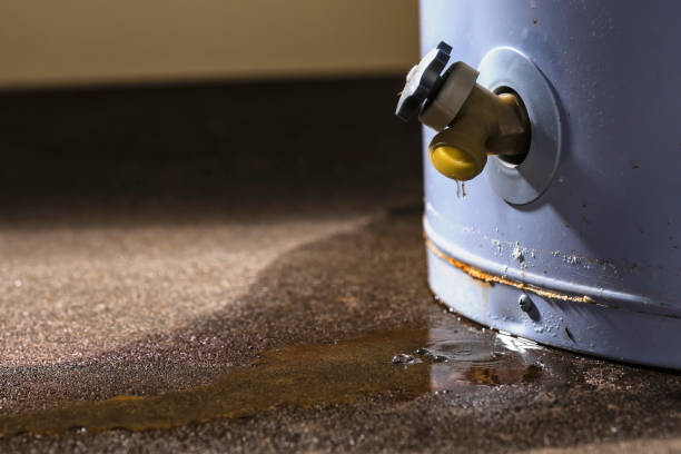 Best 24-hour water damage restoration  in Preston, IA