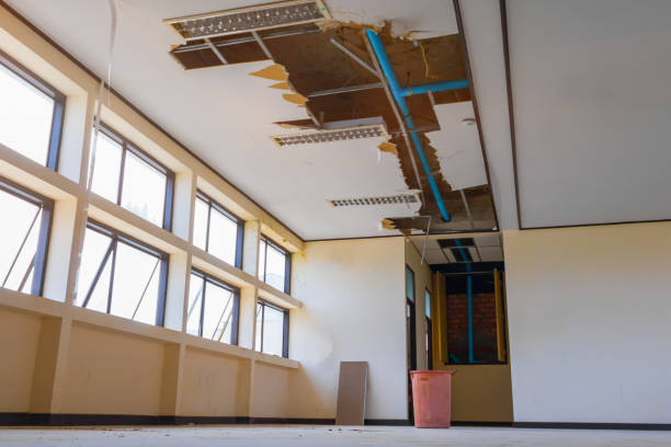 Best Flooded house restoration  in Preston, IA