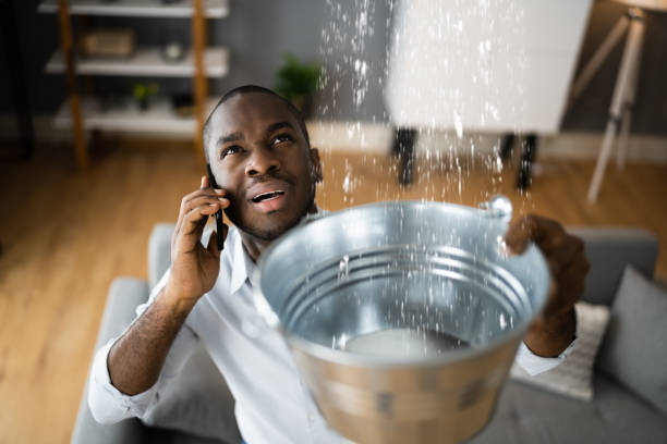 Best Flood restoration services  in Preston, IA