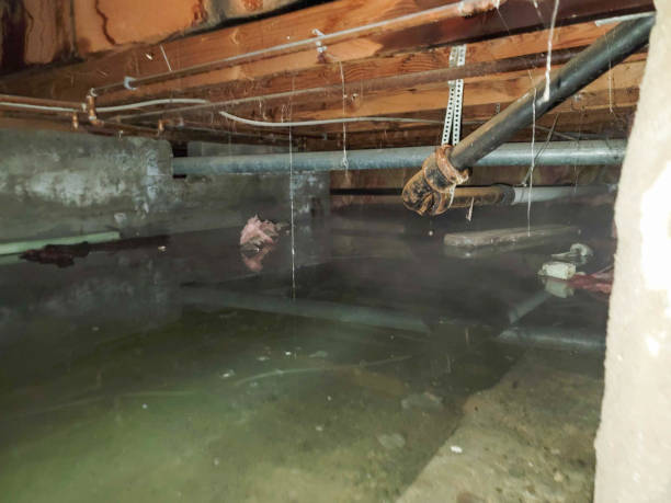 Trusted IA Water damage restoration Experts