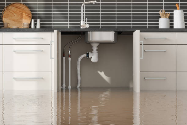 Best Water damage contractors near me  in Preston, IA